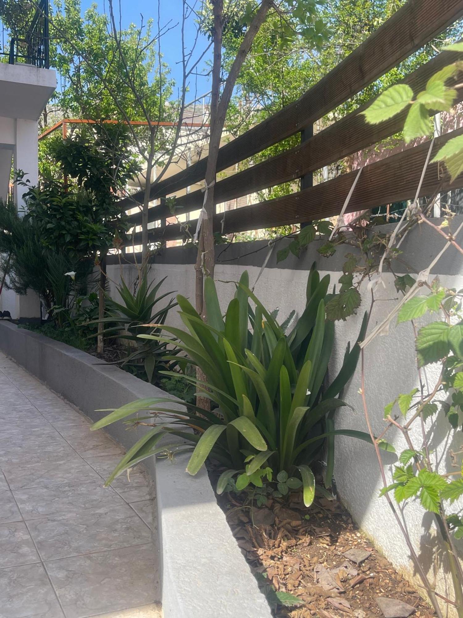 Sunflower Apartments Sarandë Exterior foto